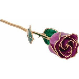February Lacquered Amethyst Colored Rose with Gold Trim