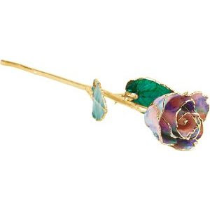 October Lacquered Opal Colored Rose with Gold Trim
