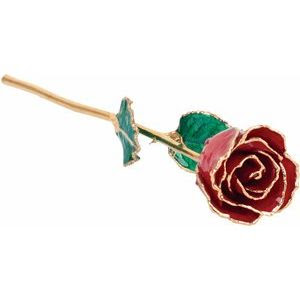 July Lacquered Ruby Colored Rose with Gold Trim