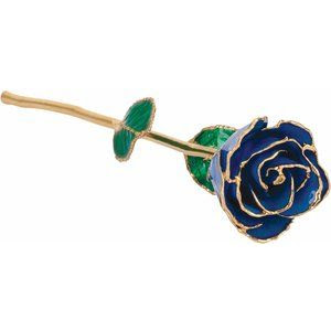 September Lacquered Blue Sapphire Colored Rose with Gold Trim 