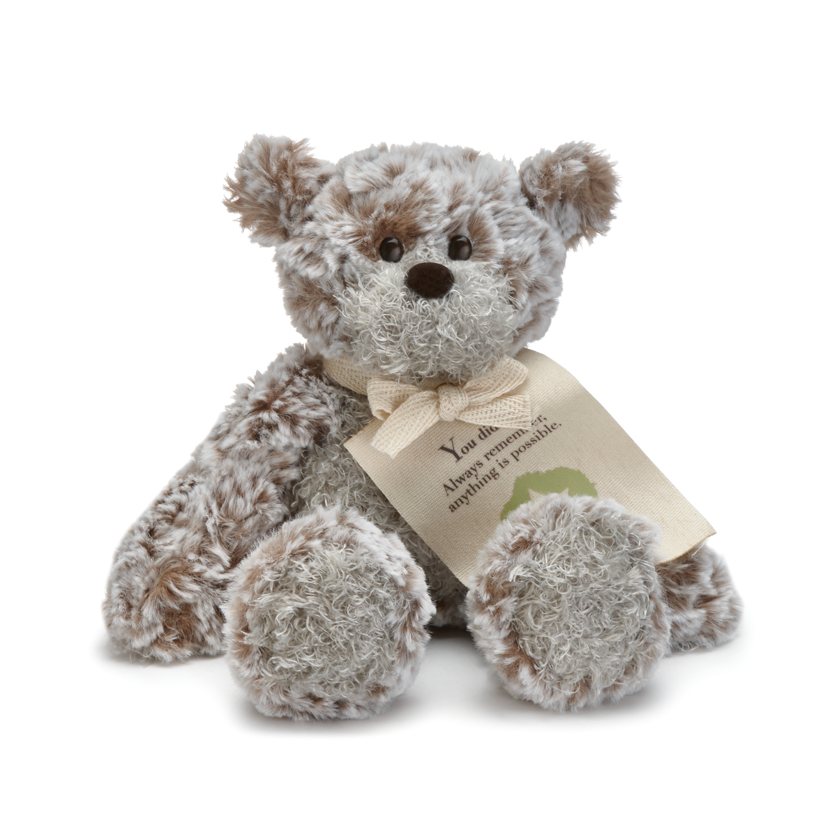 Mini Giving Bear 8.5\" - You did it! Plush Teddy Bear