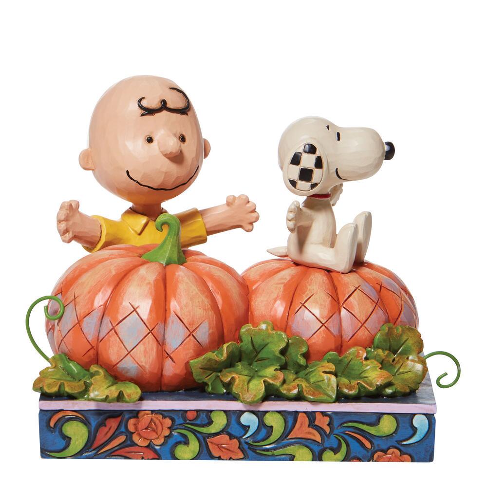 CB/Snoopy in pumpkin patch