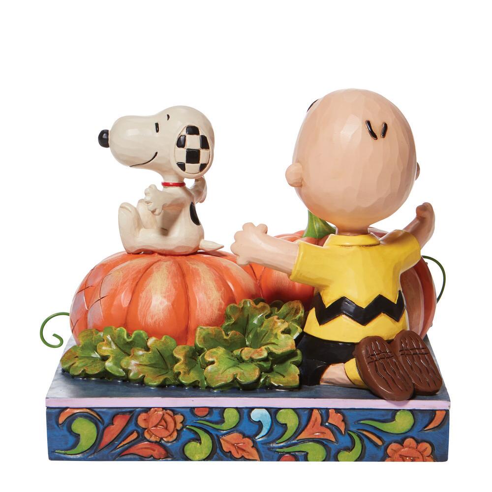 CB/Snoopy in pumpkin patch